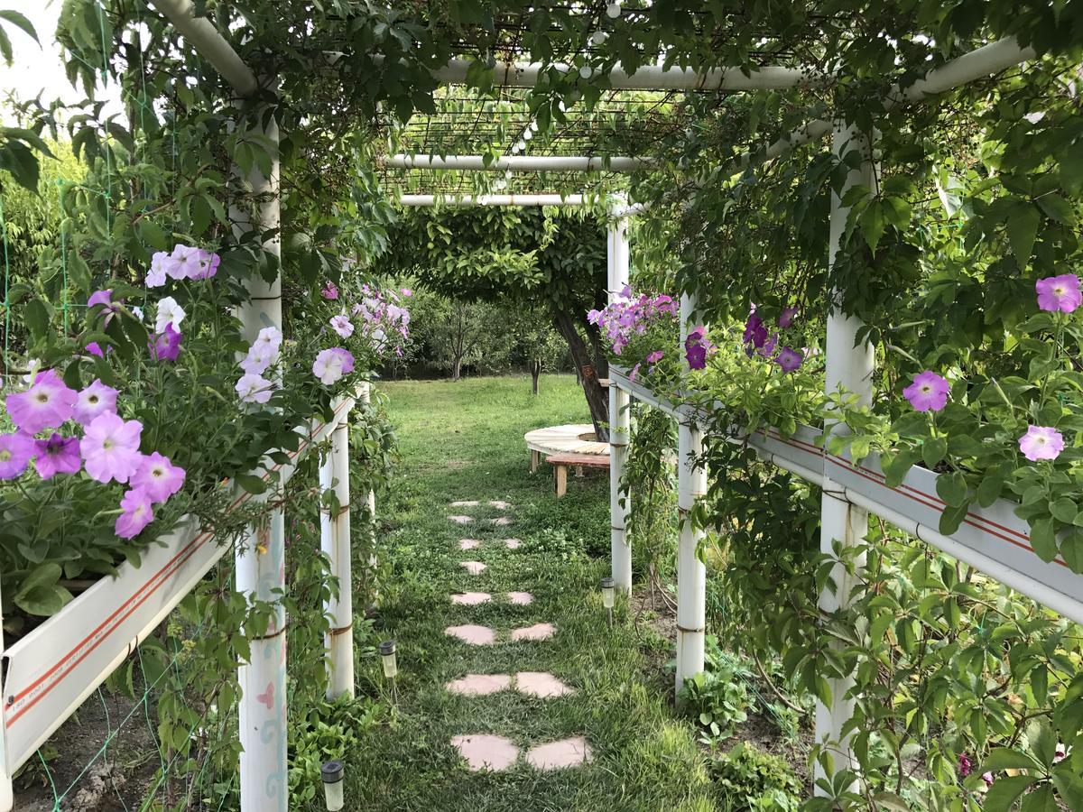 Ashot & Gohar B&B Chʼiva Exteriér fotografie