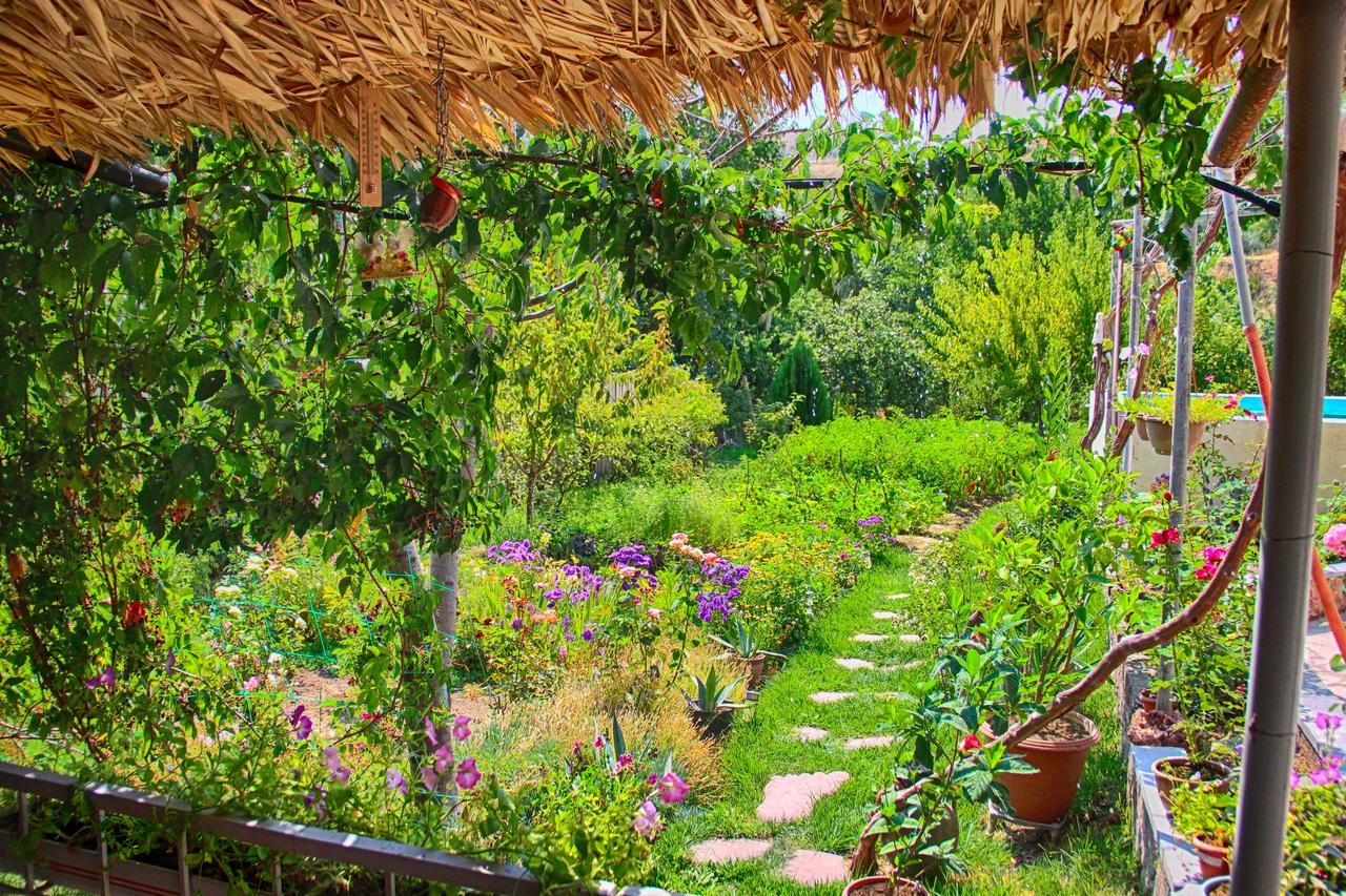 Ashot & Gohar B&B Chʼiva Exteriér fotografie