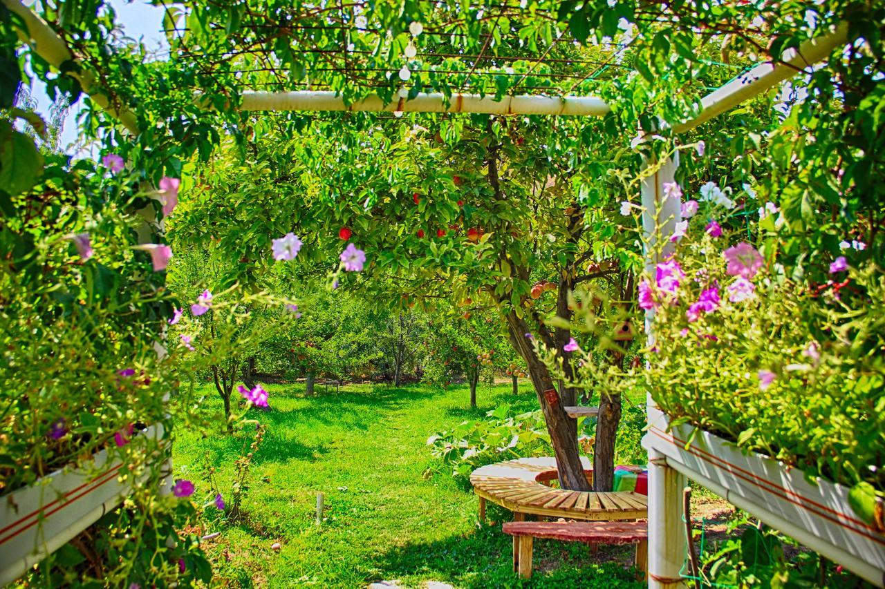 Ashot & Gohar B&B Chʼiva Exteriér fotografie